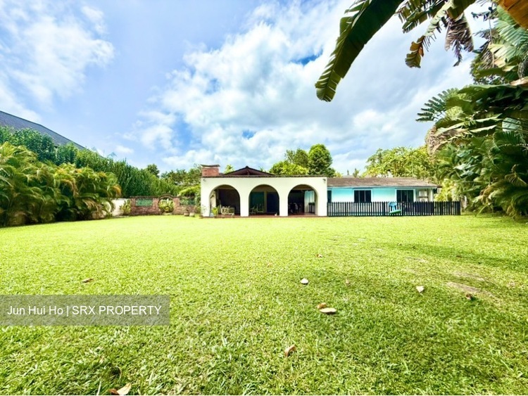 Jalan Anak Bukit (D21), Detached #532395331